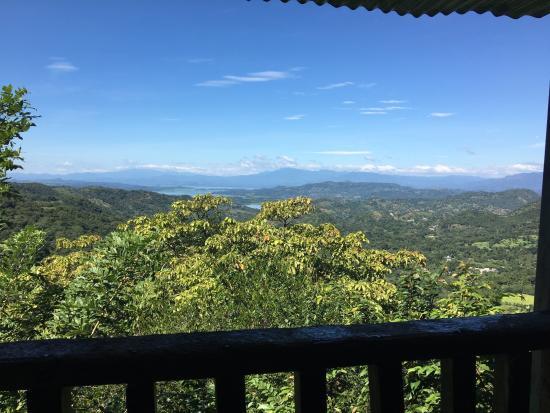 Cinquera Rain Forest Park